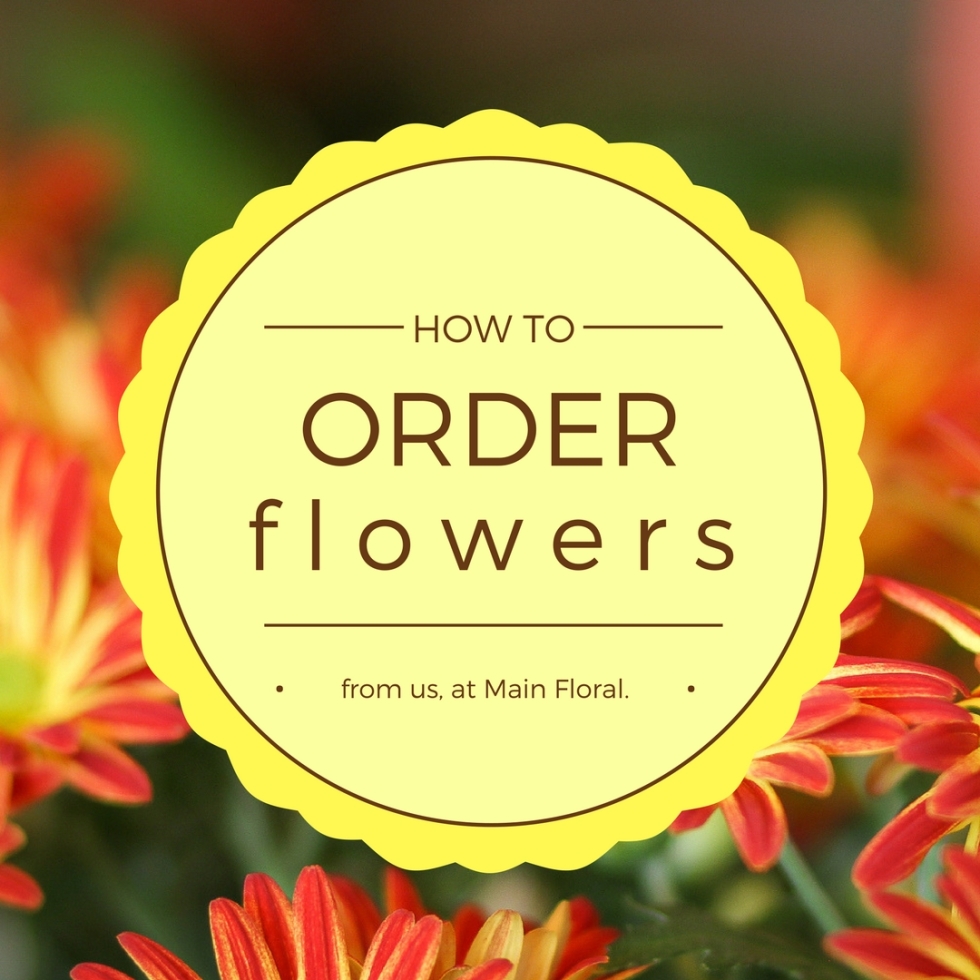 how to, order flowers, delivery, main floral, twin cities, area, near, by, champlin, anoka, halloween, coon rapids, minnesota, mn, gift, idea, send flowers, anniversary, ideas, birthday