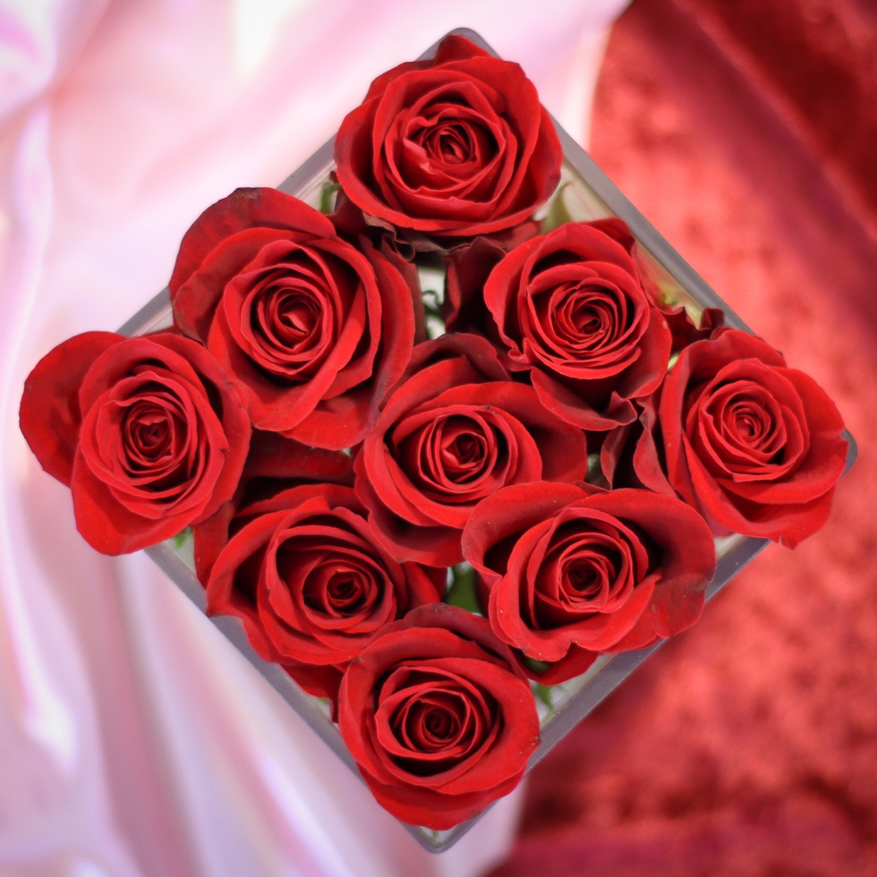 Valentine's Day, Delivery, Flowers, Floral, Twin Cities, Surrounding Areas, chocolates, Deliver, Anoka, Minneapolis, Brooklyn Park, Champlin, Maple Grove, Rogers, Ramsey, Coon Rapids, Near, By, Saint Paul, Blaine, Brooklyn Park, Brooklyn Center, Dayton, Osseo, Same Day, Main Floral